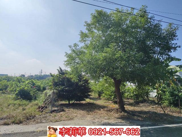 高雄岡山農地-6