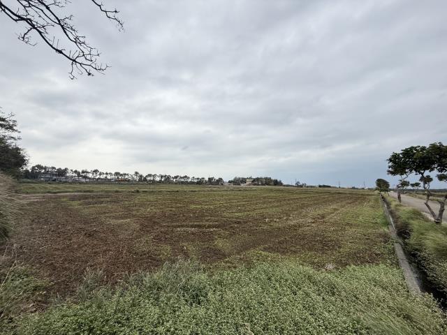 桃園新屋農地-2