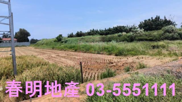 桃園新屋農地-2