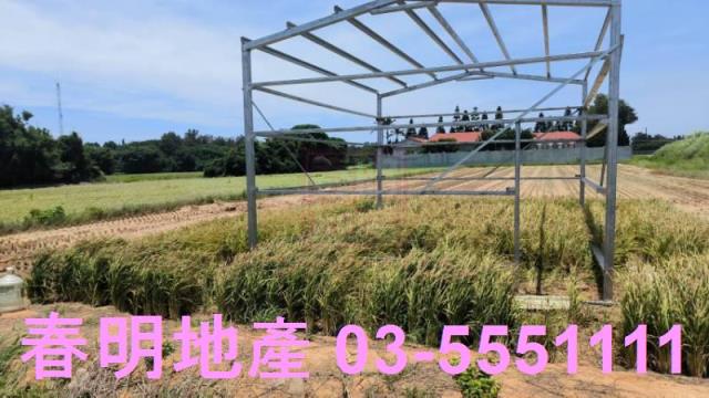 桃園新屋農地-6