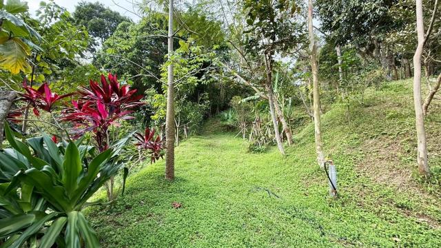 新竹關西農地-15