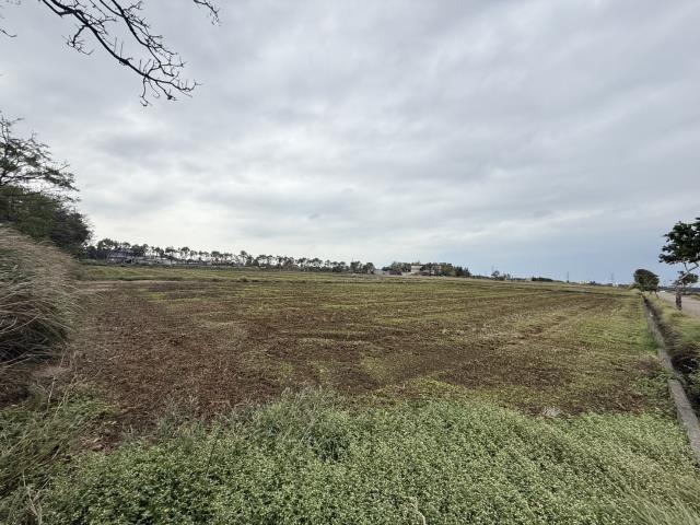 桃園新屋農地-3