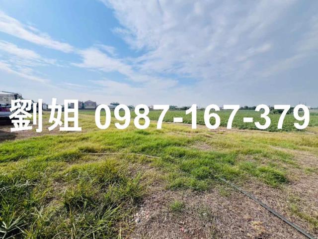 新市農地-1