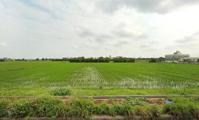 桃園新屋農地-4