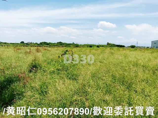 台南安南農地-2