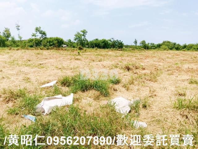 台南安南農地-1