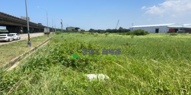 桃園大園農地-2