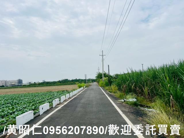 台南善化農地-12