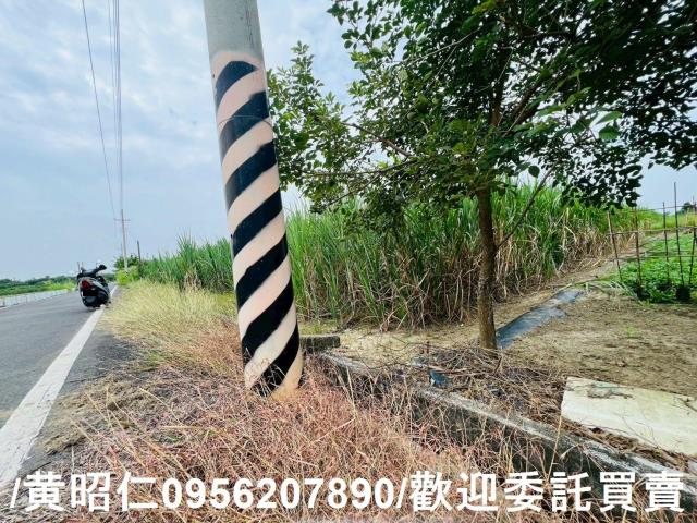 台南善化農地-8