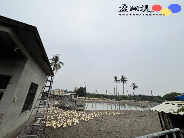 屏東內埔農地-3