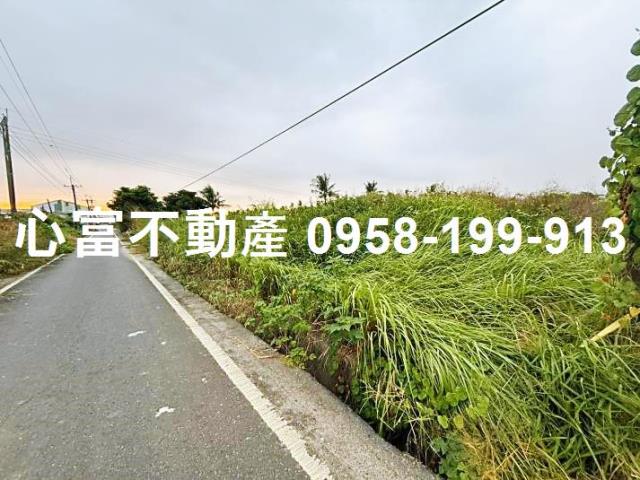 高雄阿蓮農地-2