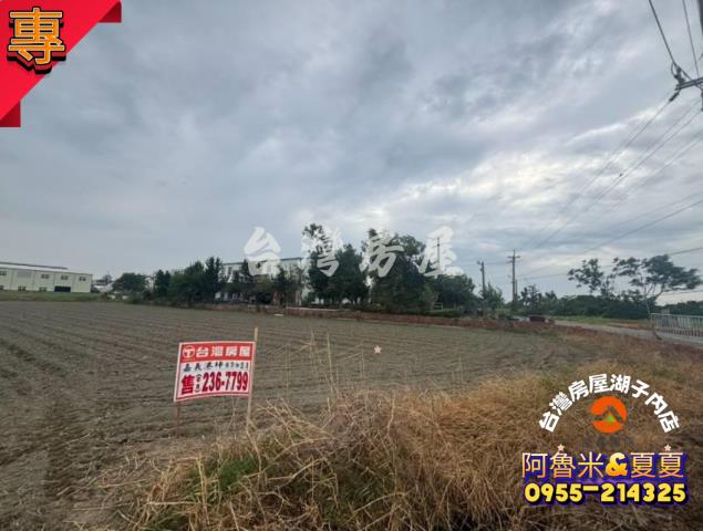 布袋農地-3