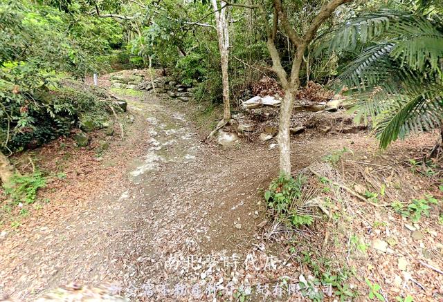 高雄杉林農地-6