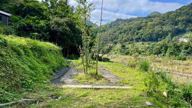 橫山農地-12