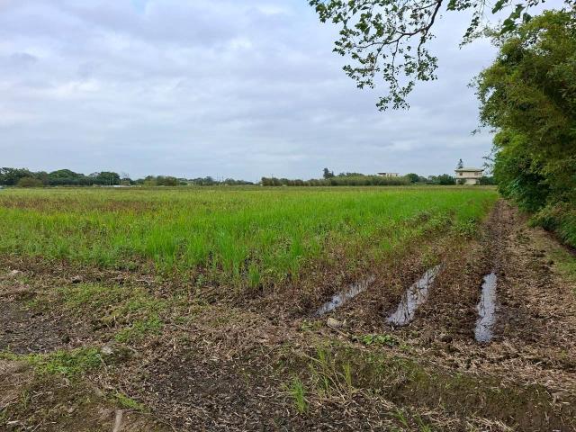 新屋農地-3