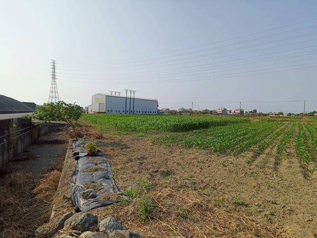 台南學甲農地-2