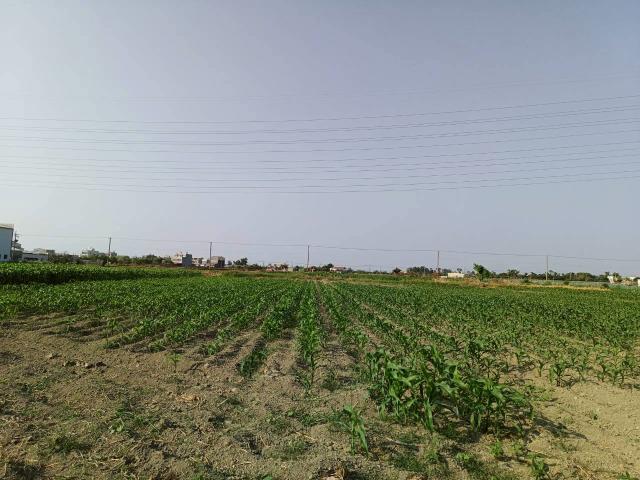 台南學甲農地-7