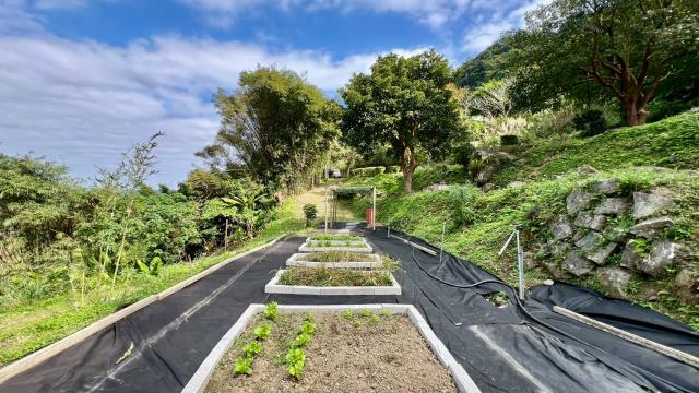 新竹橫山農地-14