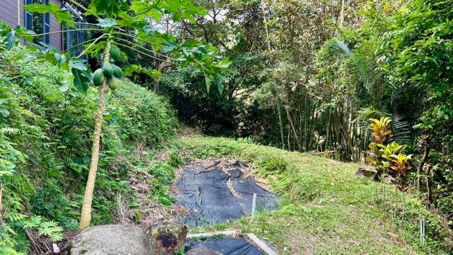 新竹橫山農地-8