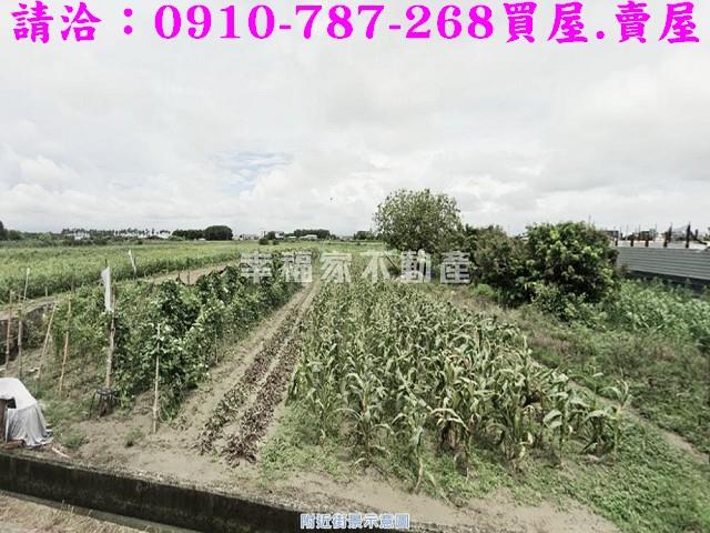 台南西港農地-12
