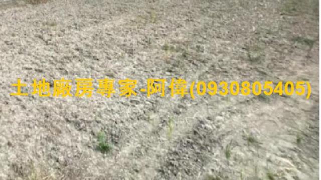 高雄大寮農地-1