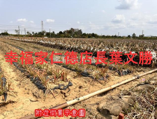 台南山上農地-8