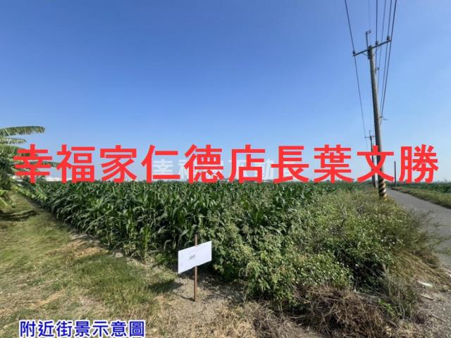 台南佳里農地-6