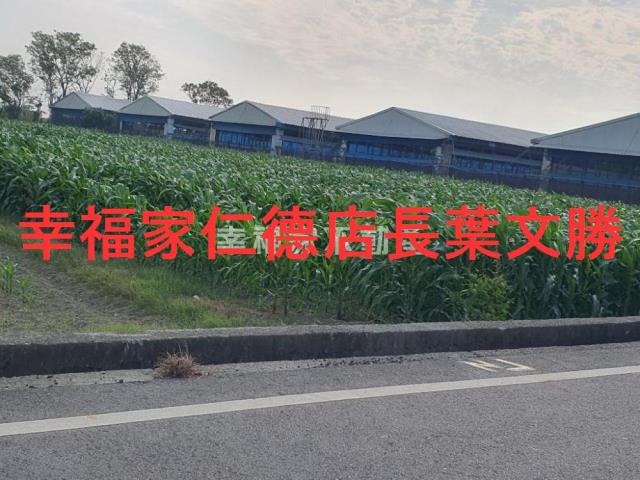 台南西港農地-2