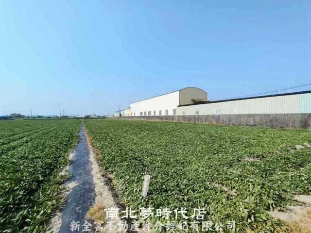 新市農地-1