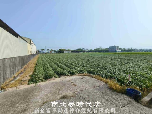 新市農地-6