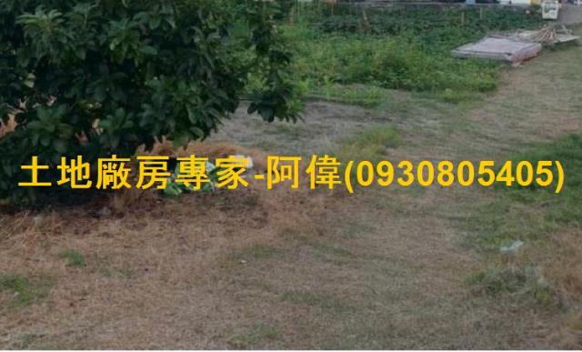 高雄林園住宅地-1