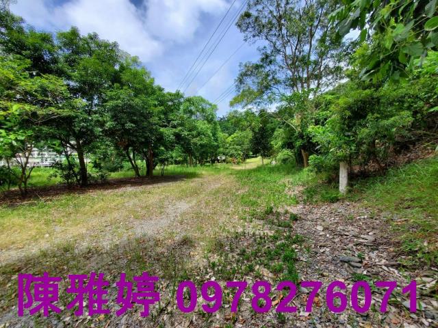 台東卑南農地-12