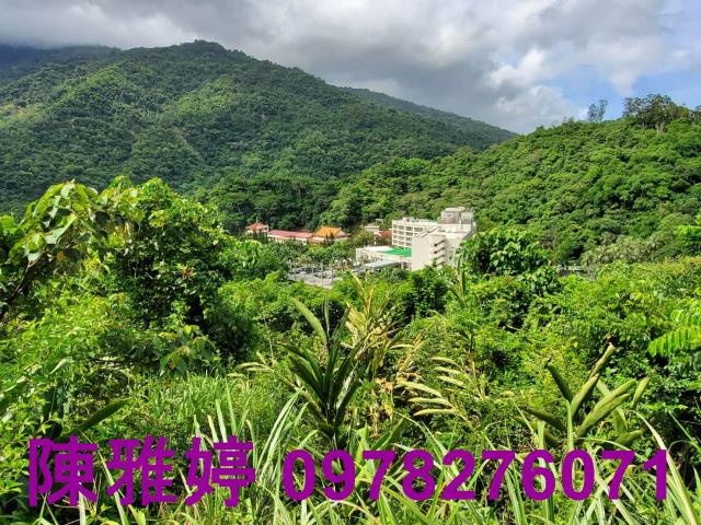 台東卑南農地-8