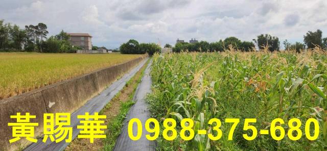 新竹湖口農地-3