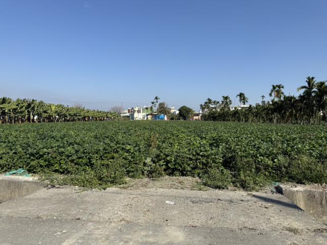 屏東市農地-4