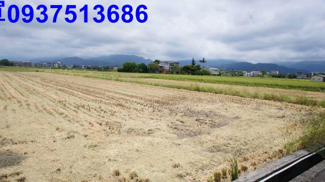 宜蘭宜蘭市農地-1