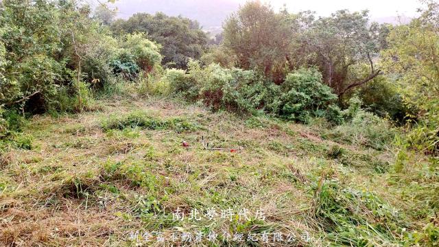 台南楠西農地-1