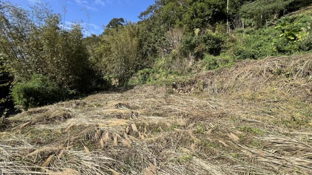 新竹關西建地-2