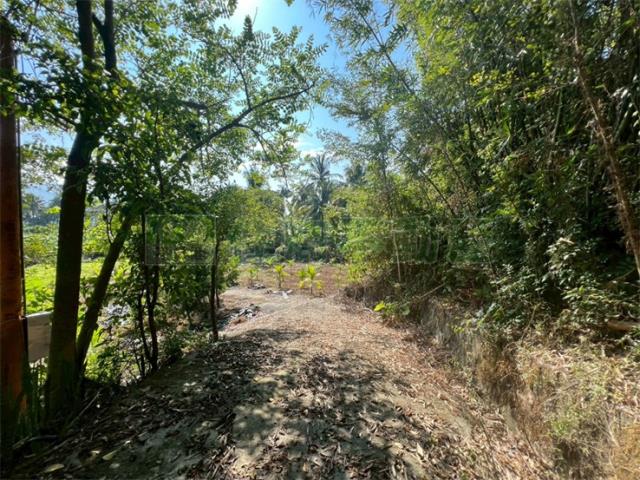 高雄旗山農地-7