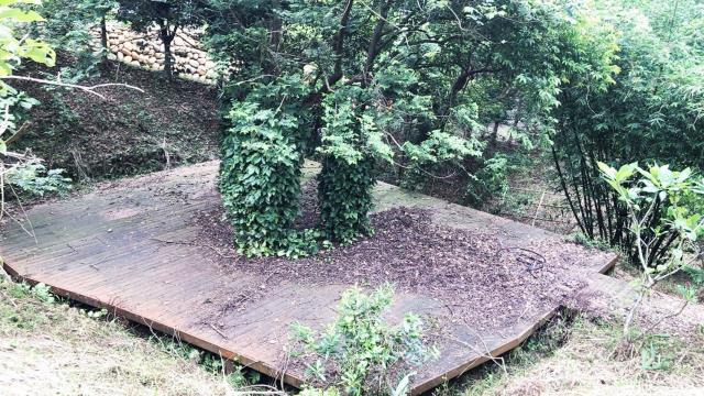 新竹關西農地-8