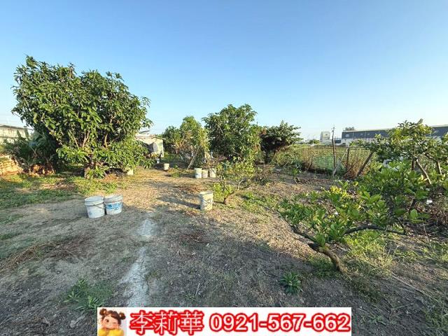 台南安定農地-10