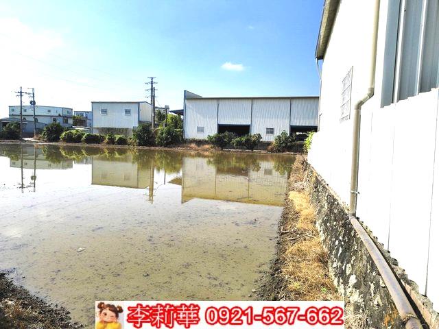 高雄岡山農地-6