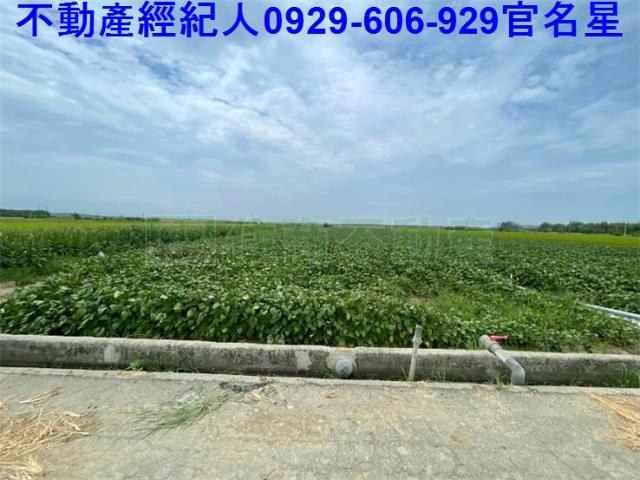 嘉義農地-3