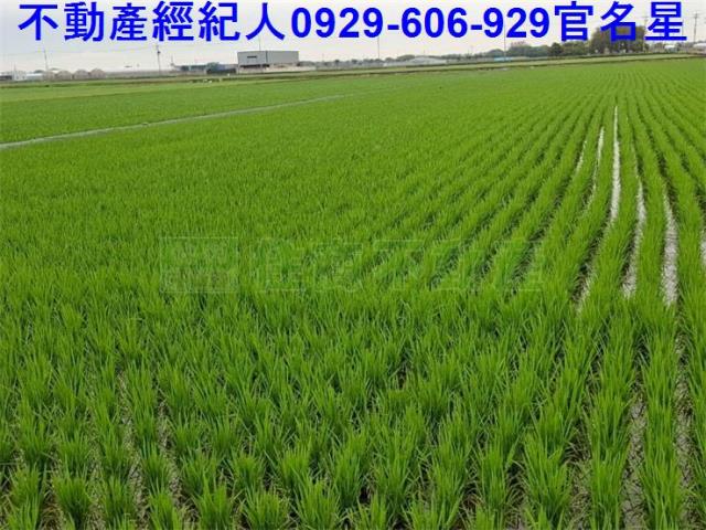 嘉義農地-6