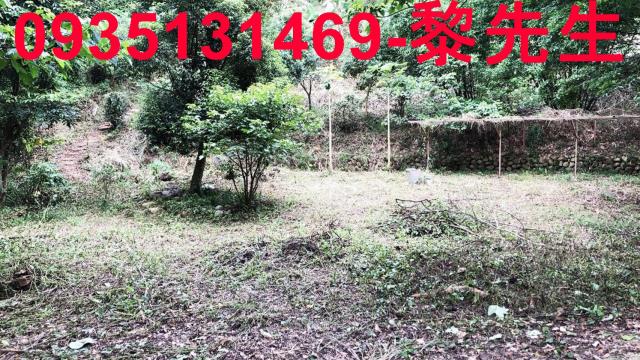 新竹關西農地-12