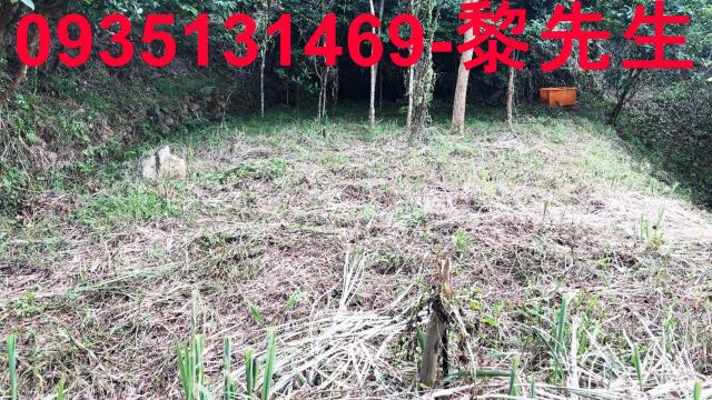 新竹關西農地-7