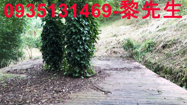 新竹關西農地-9