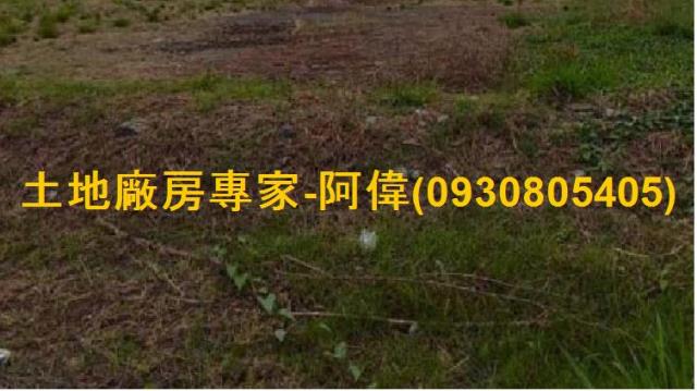 高雄林園農地-1