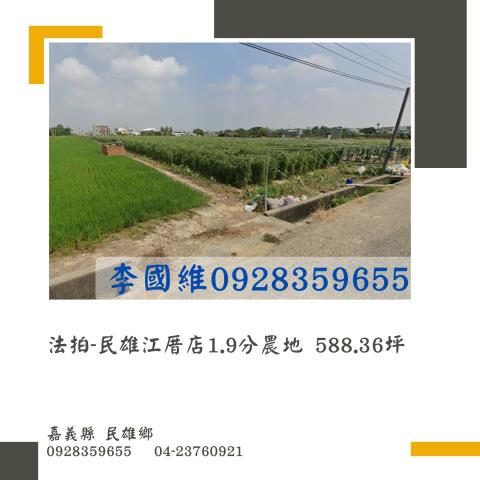 嘉義民雄法拍農地-1