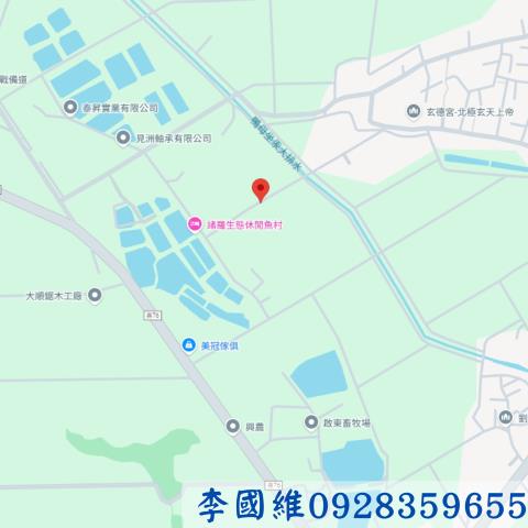 嘉義民雄法拍農地-4
